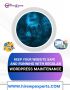  Keep Your Website Safe and Running with Regular WordPress M