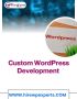  Custom WordPress Development 