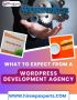 What to Expect from a WordPress Development Agency