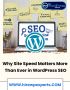   Why Site Speed Matters More Than Ever in WordPress SEO