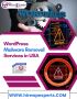  WordPress Malware Removal Services in USA