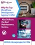  Why the Top WordPress Development Agency in USA Also Delive
