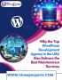   Why the Top WordPress Development Agency in the USA Also D