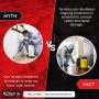 Myth vs. Fact: Termite Treatment Edition