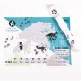 Hong Kong Trail Scratch Map | Hong Kong Trails