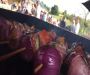 BBQ Wedding Catering | 