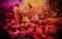 Best Places to Visit in Vrindavan