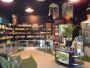Brampton Cannabis Store Brampton Cannabis Store