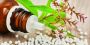  Meet the Best Homeo Doctor in India for Expert Natural Heal