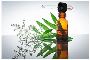 Best homeopathy doctor in kolkata for Gastro Best homeopathy doctor in kolkata for Gastro