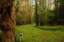 Houses For Sale In Kerhonkson NY Houses For Sale In Kerhonkson NY