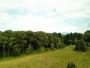 Property For Sale In Stone Ridge NY