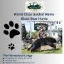 World Class Guided Maine Black Bear Hunts