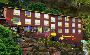 Romantic Packages for Honeymoon in Mussoorie by Hotelhoneymo