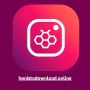 Download Honista APK – Unlock Exclusive Instagram Features"