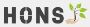 HONS Energiesysteme GmbH