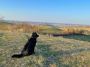 Best Property in Piemonte - House in Piemonte