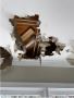Fire Water Damage Restoration | House Of Remodeling