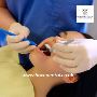 Endodontic Procedures Dental Crowns in Brighton