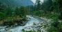 Jibhi tour packages from Delhi​ | Jibhi tirthan valley tour 