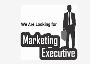 Hiring Marketing Executives