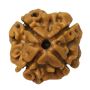 Purchase 4 Mukhi Rudraksha Mala online at Wholesale Price 