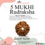 Purchase Rudraksha Panch Mukhi Rudraksha From RashiRatanBh