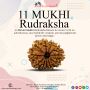Get Natural and Certified 11 Mukhi Rudraksha Beads in jaipur