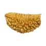 Original 1 Mukhi Rudraksha Online Best Price in India.