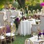 Wedding Coordination & Event Design Wedding Coordination & Event Design