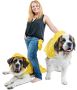  HugeHounds – Offers Trendy Clothes for Large Dogs