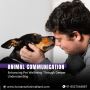 Animal Communication Animal Communication