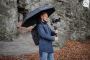 Buy Rain Umbrella Online in Florida at Best Price