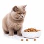 What Food Makes a Cat Happy? What Food Makes a Cat Happy?