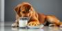 Is Wet Dog Food Better for Your Dog's Digestion? Is Wet Dog Food Better for Your Dog's Digestion?