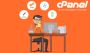 Basic cPanel Hosting in India