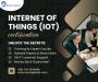 Master the Future with IoT Certification Training 
