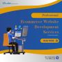 Professional Ecommerce Website Development Services to Boost