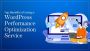 Top Benefits of Using a WordPress Performance Optimization S