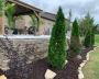 Fast and Reliable Tree Removal Franklin TN Services