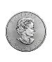 Explore Our Exclusive Range of Silver Coins at IBV Gold