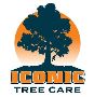 Iconic Tree Care