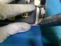 Apple iPhone Repair | iCure Solutions