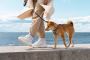 Dog Walking App Development Company