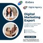 iEveEraSEO - SEO Company in virar