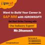 SAP MM Training from Igrowsoft in Ameerpet Hyderabad