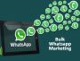 Bulk WhatsApp Service Provider | IIS INDIA