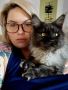 Maine Coon Kittens For Sale | Maine Coon Cats for sale