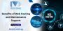 Benefits of Web Hosting and Maintenance Support