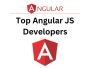Top Angular JS Developers for Hire 